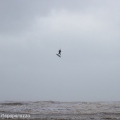 Stormsessie, Wijk aan zee 03-01-2018-7